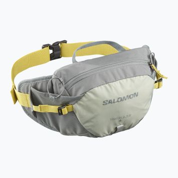Ľadvinka Salomon Trailblazer 4 l sedona sage/seagrass/cress green
