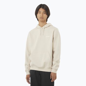 Pánska mikina Salomon Logo Hoodie rainy day