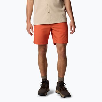 Pánske trekové šortky Columbia Washed Out tuscan