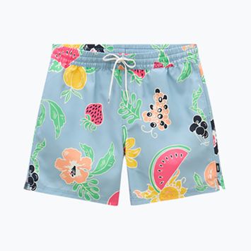 Pánske šortky Vans Primary Print Elastic Boardshort