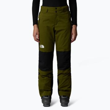 Dámske lyžiarske nohavice The North Face Lenado Short forest olive/black