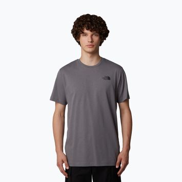 Pánske tričko The North Face Redbox Celebration smoked pearl