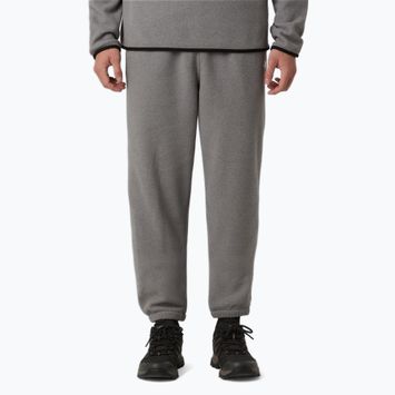 Pánske nohavice The North Face Glacier Fleece mid graather heather