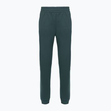 Dámske nohavice The North Face Mountain Athletics Fleece deep cypress/space