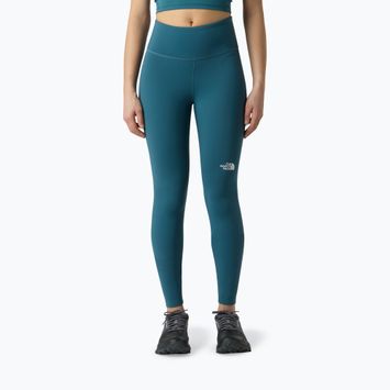 Dámske tréningové legíny The North Face Flex Warm space