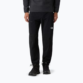 Pánske softshellové nohavice The North Face Speedlight Regular black