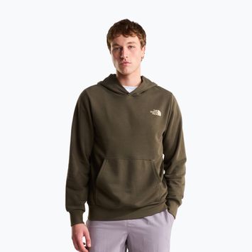 Pánska mikina The North Face Monte Regular Hoodie Graphic new taupe green