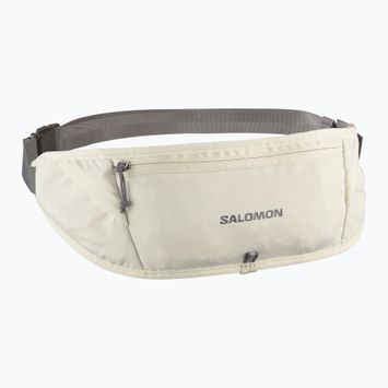 Bežecký pás Salomon Pulse Sling icicle / castlerock