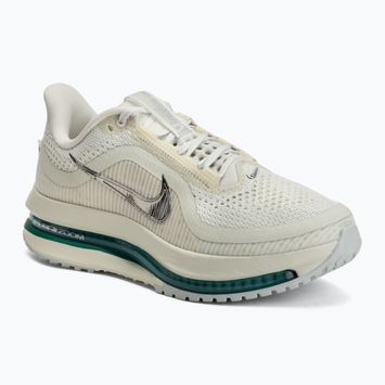 Dámske bežecké topánky Nike Pegasus Premium sea glass/malachite/metallic silver