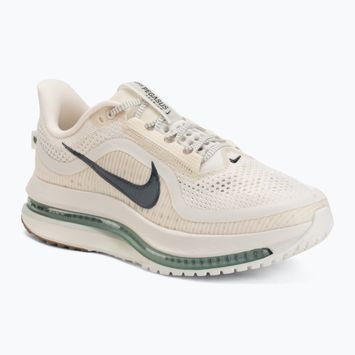 Pánske bežecké topánky Nike Pegasus Premium Pale ivory/jade horizon/black spruce