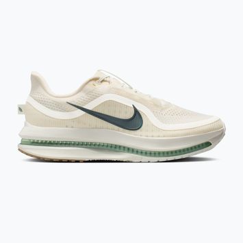 Pánske bežecké topánky Nike Pegasus Premium Pale ivory/jade horizon/black spruce