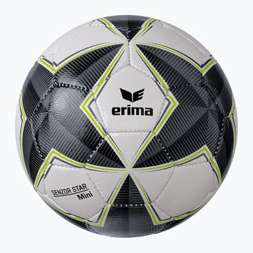 ERIMA Senzor Star Match Mini futbalová lopta čierna/sivá veľkosť 0