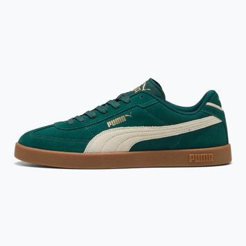 Pánska obuv PUMA Club II Era Suede dark myrtle/alpine snow/gum