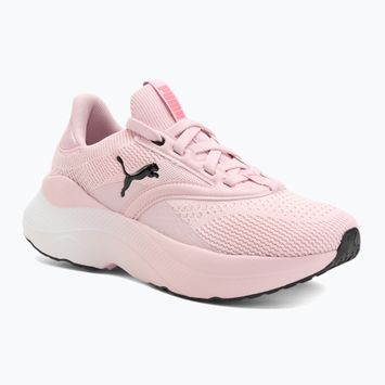 Dámske bežecké topánky PUMA Softride Mayve rose mauve/puma black/sun struck