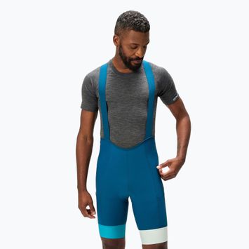 Pánske cyklistické šortky Endura Loop Bibshort barra blue