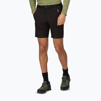 Pánske trekingové šortky Regatta Xert Stretch III black