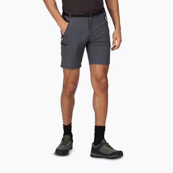 Pánske trekingové šortky Regatta Xert Stretch III seal grey