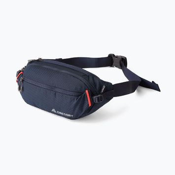 Ľadvinka Gregory Nano 4 l spark navy