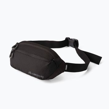 Ľadvinka Gregory Nano Mini 3 l optic black