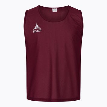 Detská mini futbalová značka SELECT Basic bordová 6841001997