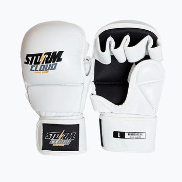 Grapplingové rukavice StormCloud Hurricane white/black