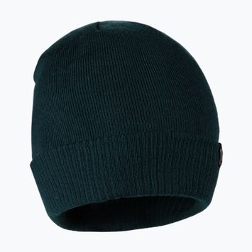 Pánska zimná čiapka Pitbull West Coast Beanie Small Logo dark green