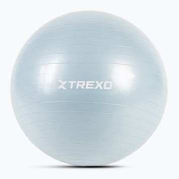 XTREXO Gymball TXO-B4Z008-BL 65 cm modrá