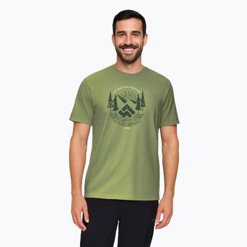 Pánske tričko Alpinus Kitreli green