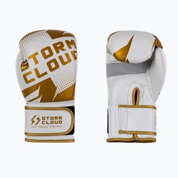 Boxerské rukavice StormCloud Bolt 3.0 white/gold