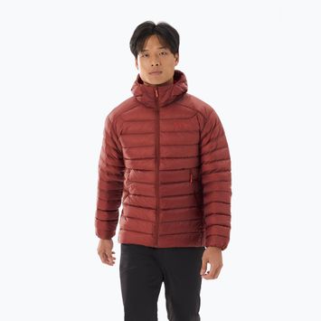 Pánska  bunda Arc'teryx Cerium Hoody sequoia/solaris