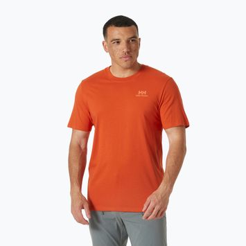 Pánske tričko Helly Hansen Nord Graphic jungle green