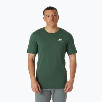 Pánske tričko Helly Hansen HH Cotton 2 ks white