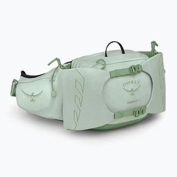 Ľadvinka Osprey Tempest 6 l frosty mint/green botanica