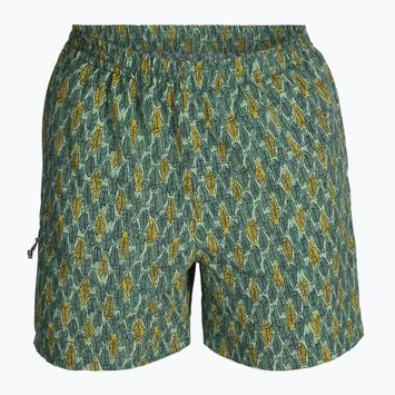 Pánske trekingové nohavice Royal Robbins All-In algae flash pt