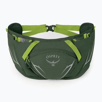 Ľadvinka Osprey Duro Dyna 2 l seaweed green/limon