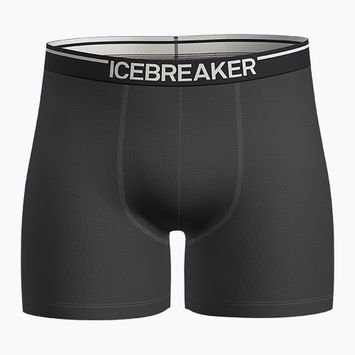 Pánske termo boxerky Icebreaker Anatomica plume jet heather