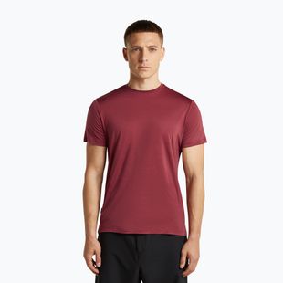 Pánske trekingové tričko icebreaker Merino 125 Cool-Lite Sphere III port