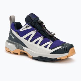 Pánske trekové topánky Salomon X Ultra 360 Edge GTX spectrum blue/glacier gray