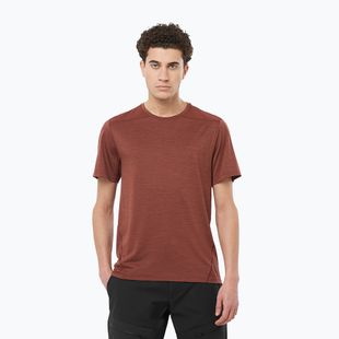 Pánske trekingové tričko Salomon Outline rum rozinka