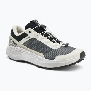 Pánske bežecké topánky Salomon Vision vanilla ice/lunar/rock/black