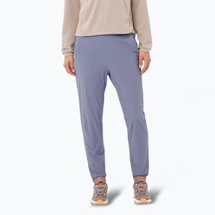 Dámske trekingové nohavice Salomon Wayfarer Ease blue granite