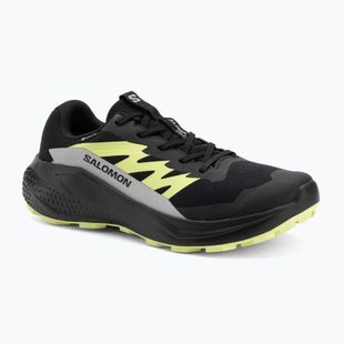 Buty do biegania meskie Salomon Alphaglide GTX black/alloy/sharp green
