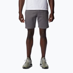 Pánske trekingové šortky Columbia Logo Fleece šedé 1884601023