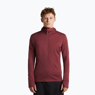 Pánska mikina Icebreaker Merino 260 Quantum IV LS Zip Hoodie port/agate