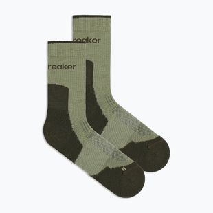 Dámske ponožky Icebreaker Merino Hike+ Light Crew lichen/dark loden