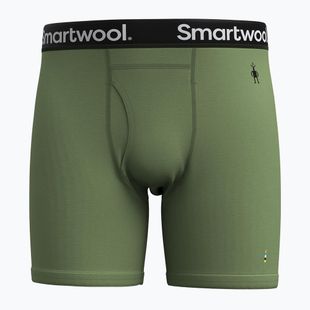 Pánske termo boxerky Smartwool Merino Boxer Brief Boxed fern green