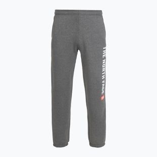 Pánske nohavice The North Face Varsity Graphic medium grey heather