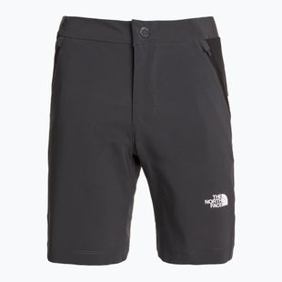Dámske trekingové šortky The North Face Felik Slim Tapered asphalt grey/tnf black