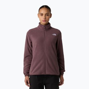 Dámska fleecová mikina The North Face Glacier Fleece tawny quartz