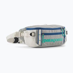 Ľadvinka Patagonia Black Hole Waist Pack 5 l birch white